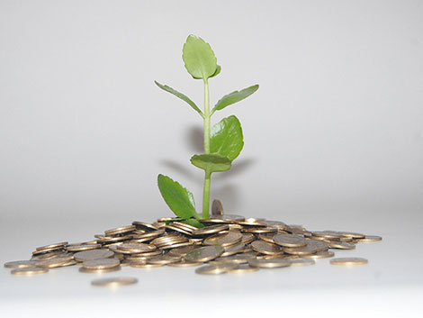 在线手机号接收